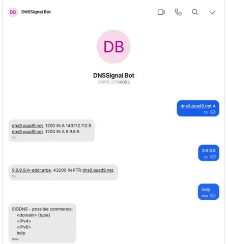Screenshot used in the talk for DNS over Signal