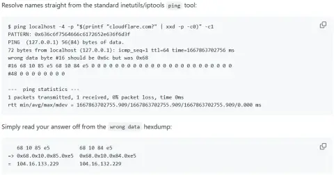 Screenshot used in the talk for DNS ping