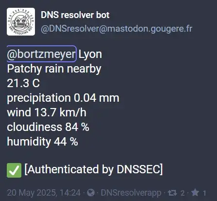 Screenshot used in the talk for DNS over Mastodon