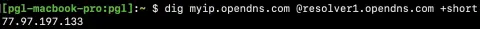 Screenshot used in the talk for My IP over DNS