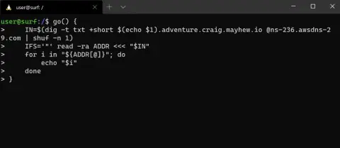 Screenshot used in the talk for DNS text adventure