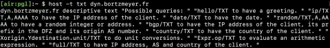 Screenshot used in the talk for Drink DNS server