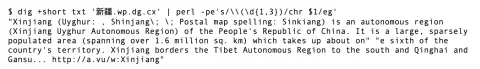 Screenshot used in the talk for Wikipedia over DNS