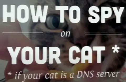 Screenshot used in the talk for CatDNS
