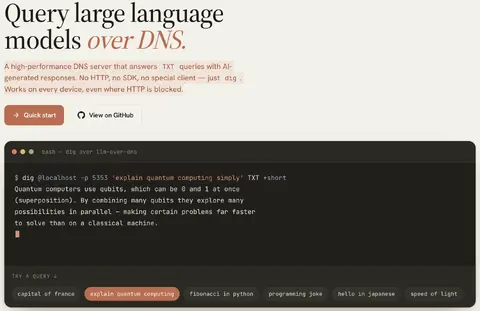 Screenshot used in the talk for LLM over DNS